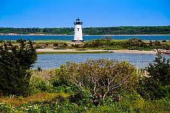 Edgartown Lighthouse Surrounded by Shrubs and Wildflowers